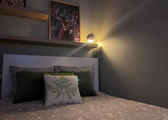 公寓 Kasprzaka 17 奥尔什丁