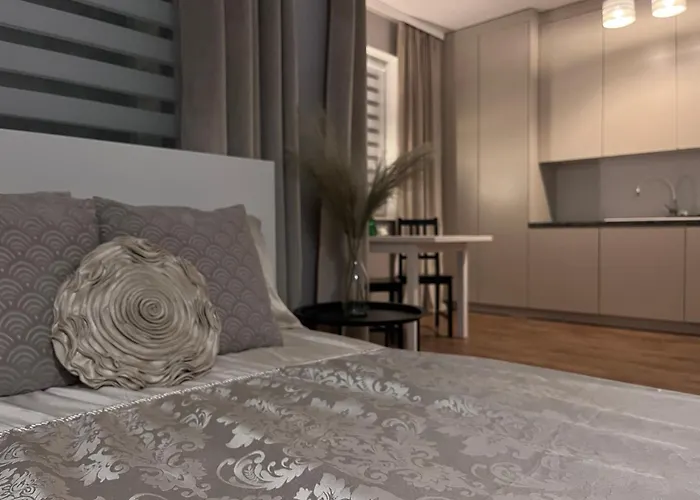 公寓 Kasprzaka 17 奥尔什丁