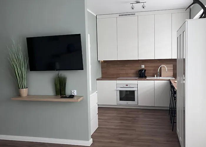 公寓 Kasprzaka 17 奥尔什丁