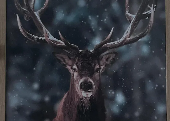 公寓 Kasprzaka 17 奥尔什丁