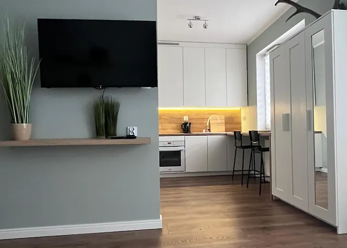 Kasprzaka 17 公寓 奥尔什丁